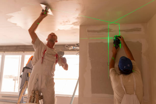 Drywall and Painting Service