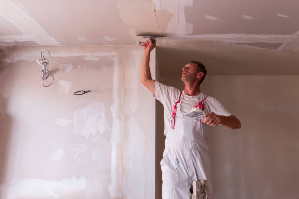 Lyons, GA Drywall and Painting Service Company